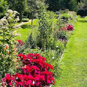 Meet your Posher, Rose